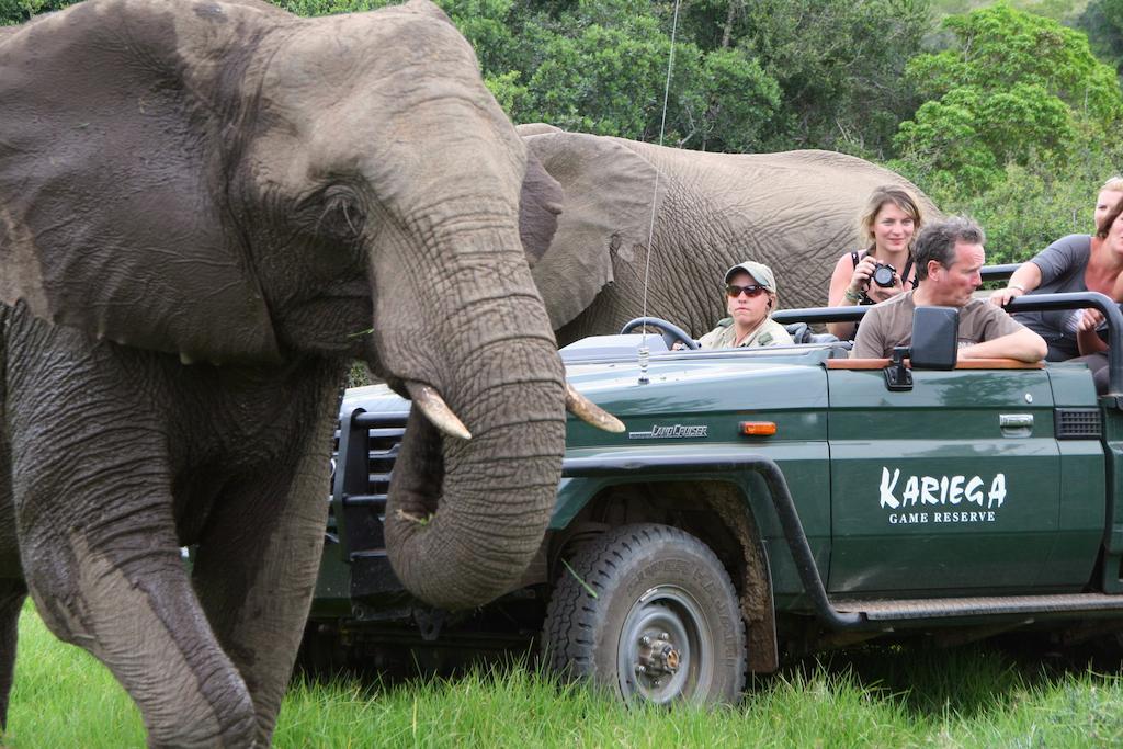 Kariega Game Reserve River Lodge Kenton on Sea Bagian luar foto