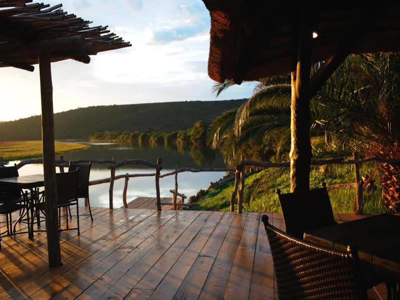 Kariega Game Reserve River Lodge Kenton on Sea Bagian luar foto